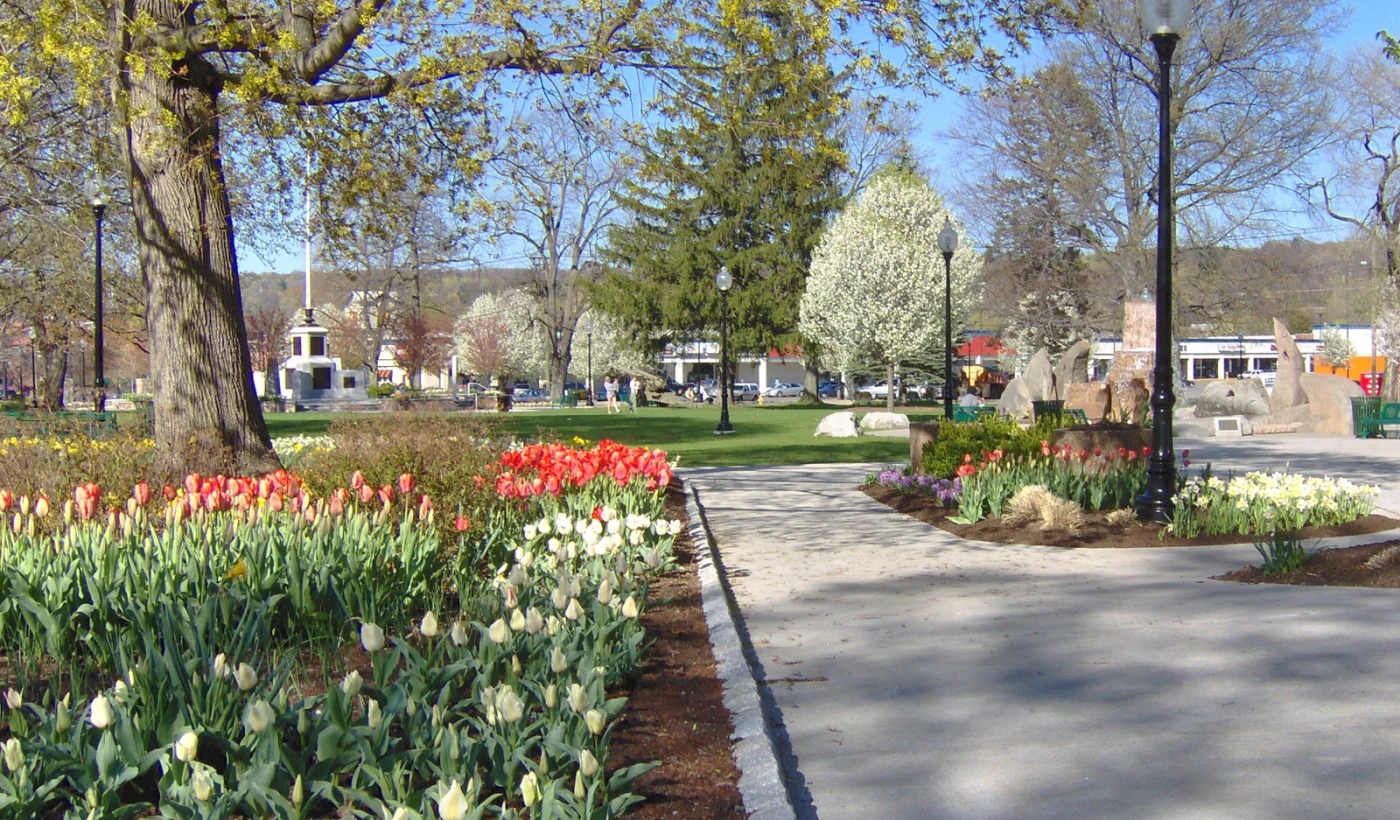 How to Sell Land Online in Connecticut