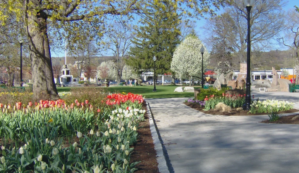 Selling Land to a Developer in Connecticut land guide